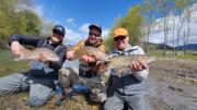 Iceland group tripple Rainbow trout
